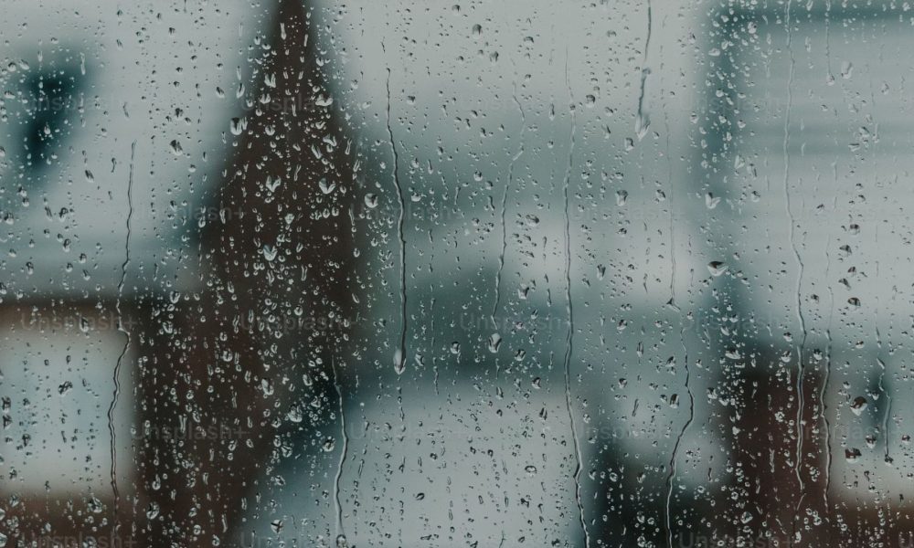 Forecasters estimate freezing temperatures that might approach record lows in cities including Seattle, Bellevue, Everett, Tacoma, and Bremerton