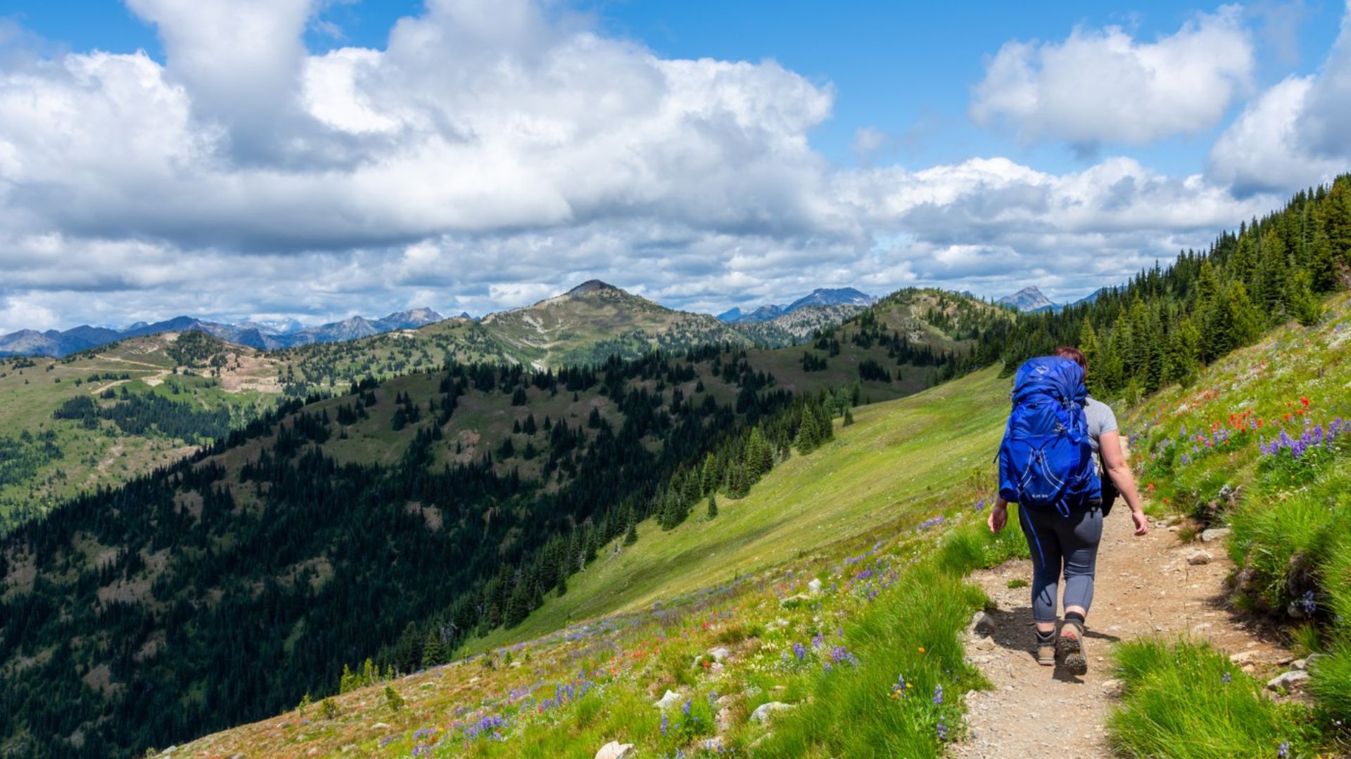 Washington State's landscapes are experiencing the knock-on effects of broad federal layoffs carried out by the Trump Administration