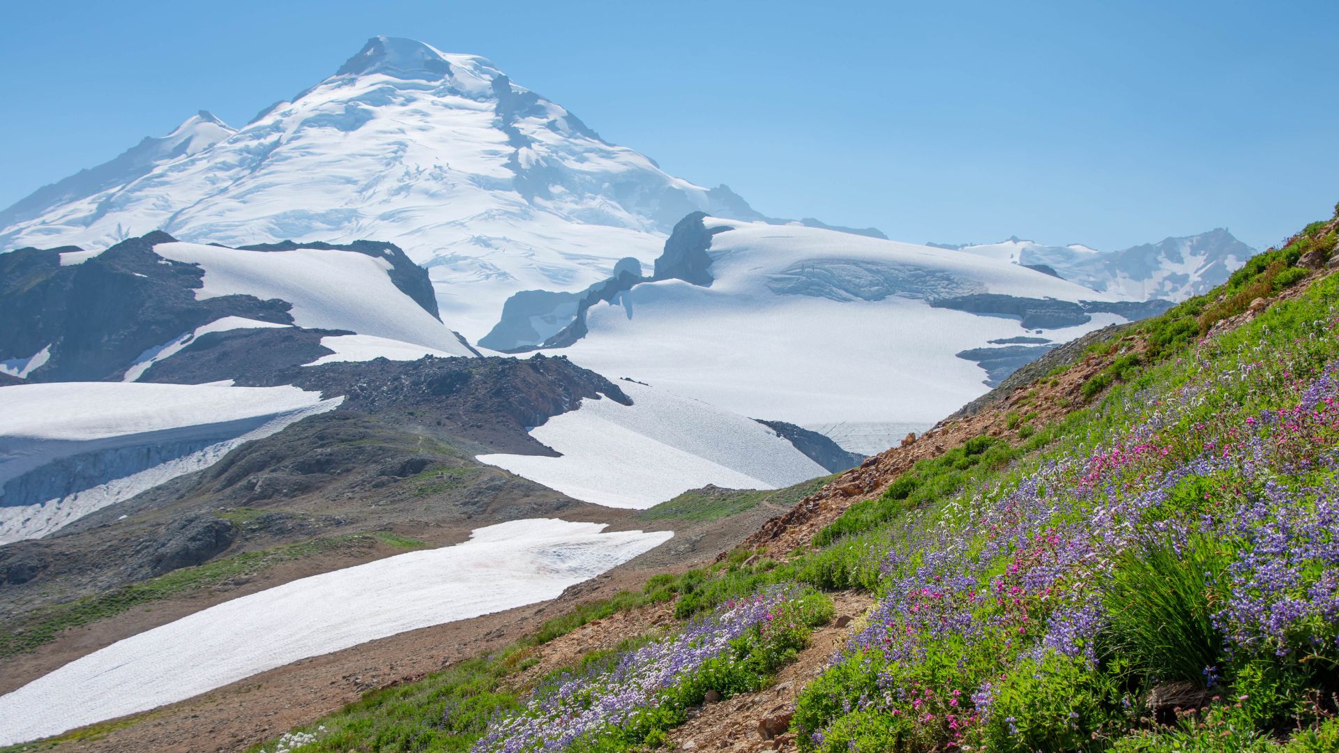 Washington State's landscapes are experiencing the knock-on effects of broad federal layoffs carried out by the Trump Administration