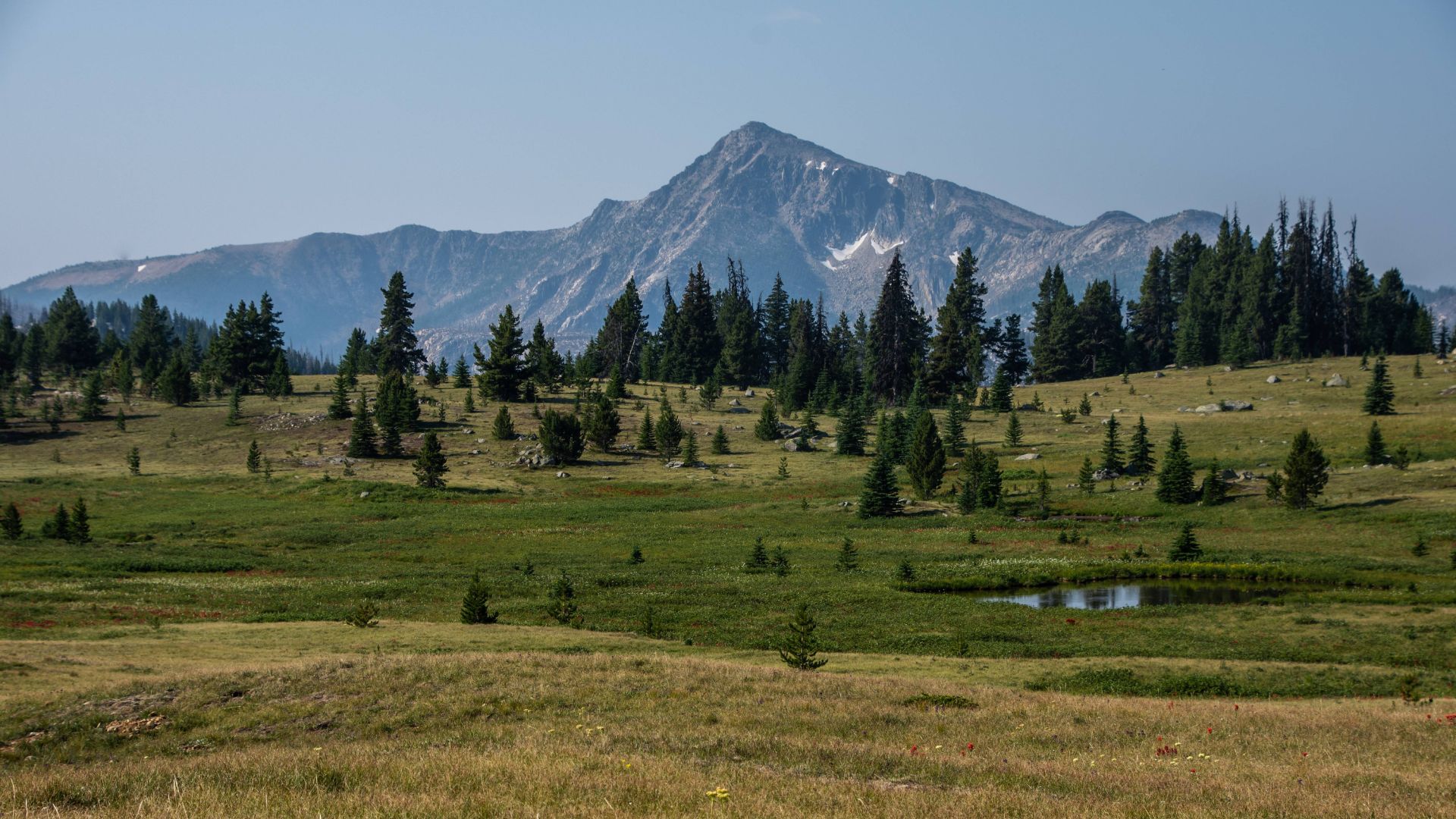 Washington State's landscapes are experiencing the knock-on effects of broad federal layoffs carried out by the Trump Administration