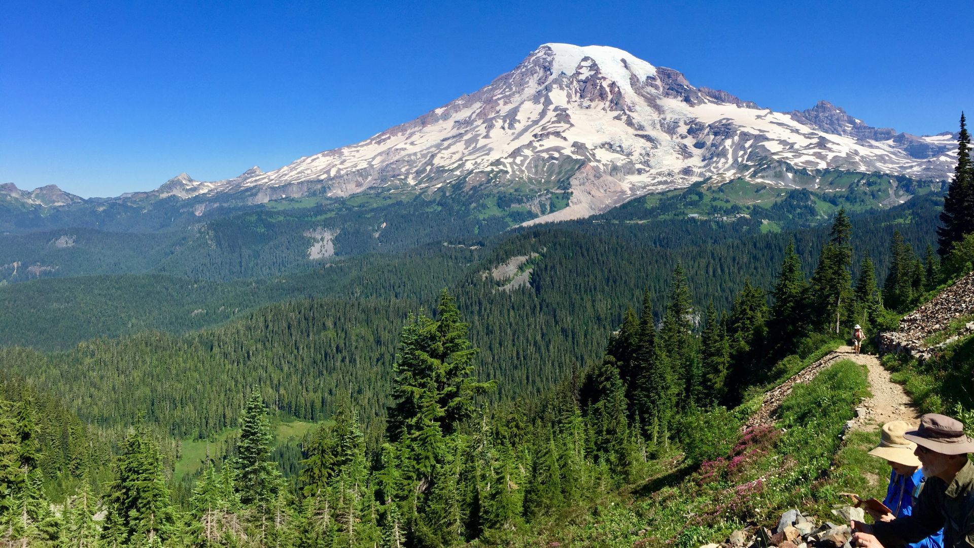 Washington State's landscapes are experiencing the knock-on effects of broad federal layoffs carried out by the Trump Administration