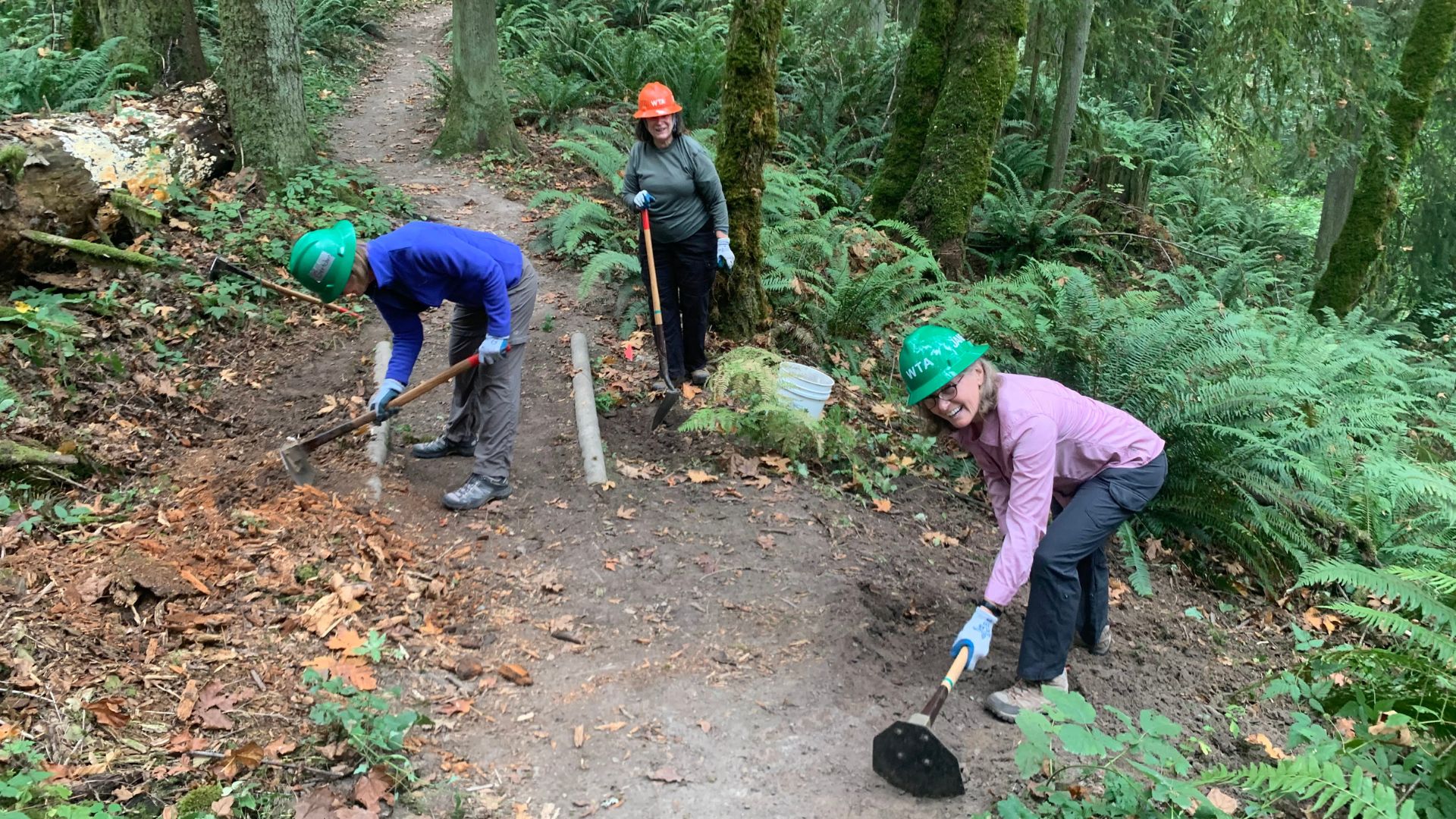 Washington State's landscapes are experiencing the knock-on effects of broad federal layoffs carried out by the Trump Administration